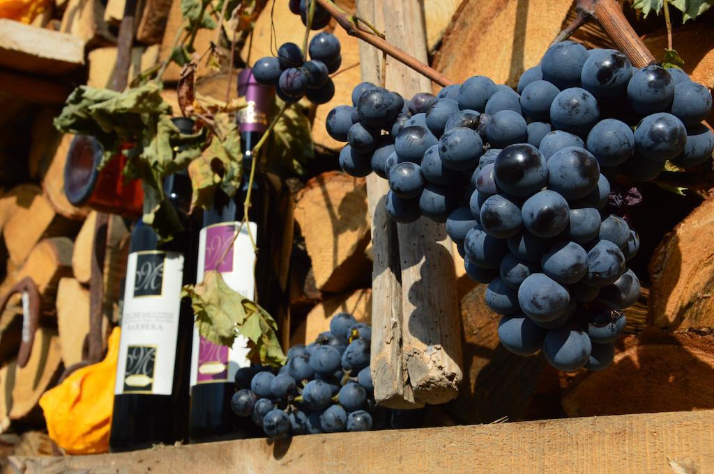 Agriturismo Il Nido Di Bacco Villa Saluzzo Exterior foto